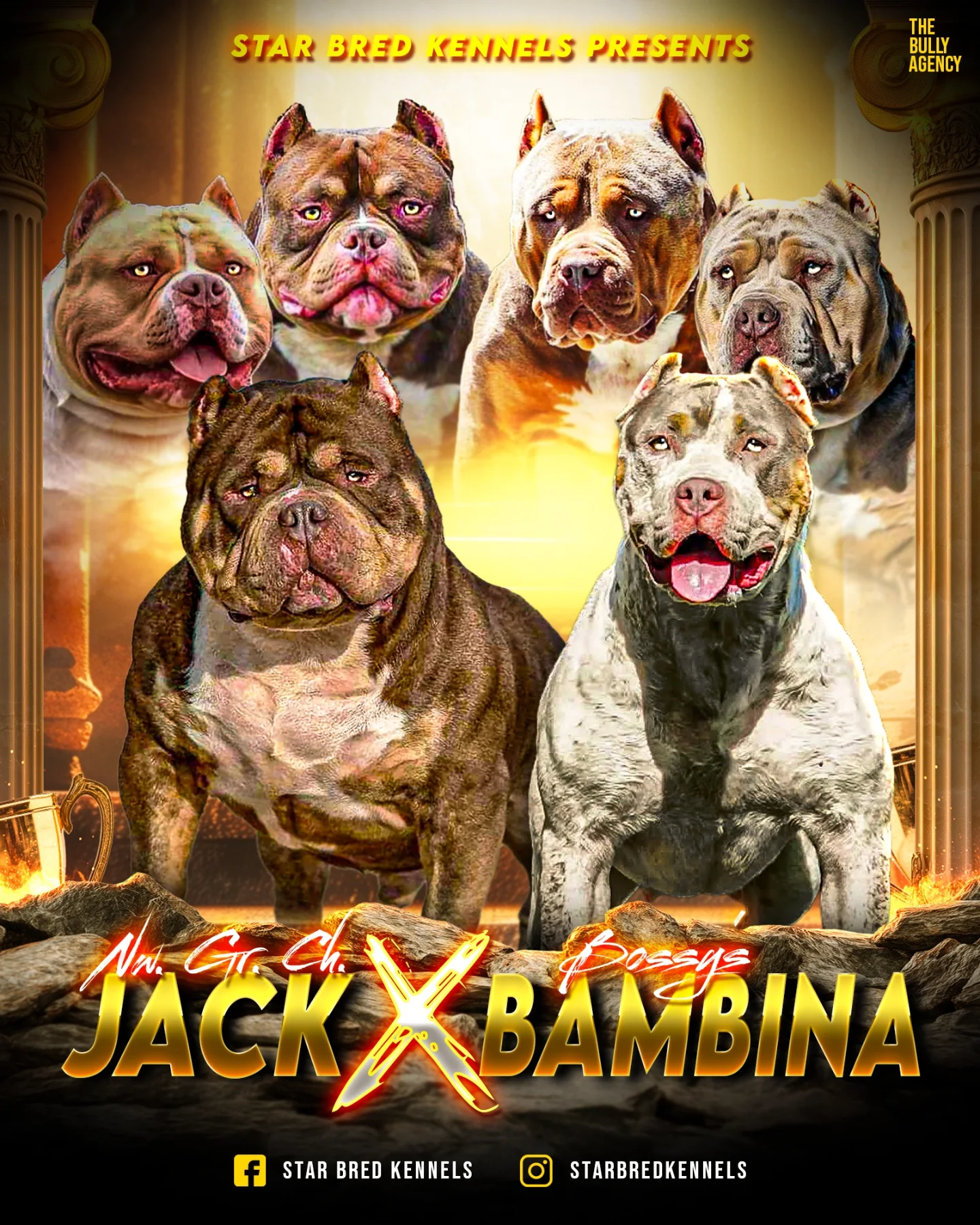 GRCH Jack × Bossy’s Bambina breeding artwork