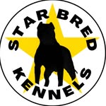 Star Bred Kennels logo